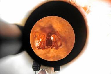 Noc Biolog�w na Wydziale Biologii na UAM
